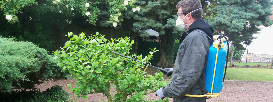 entretien jardin Traitement et soin des vegetaux